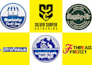create a professional business logo and brand identity